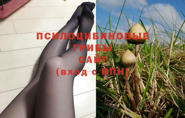 гидра Балахна