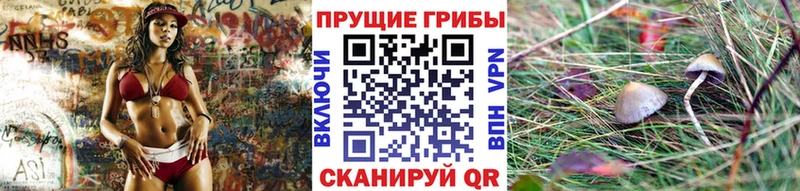 что такое наркотик  Белый  Псилоцибиновые грибы прущие грибы 